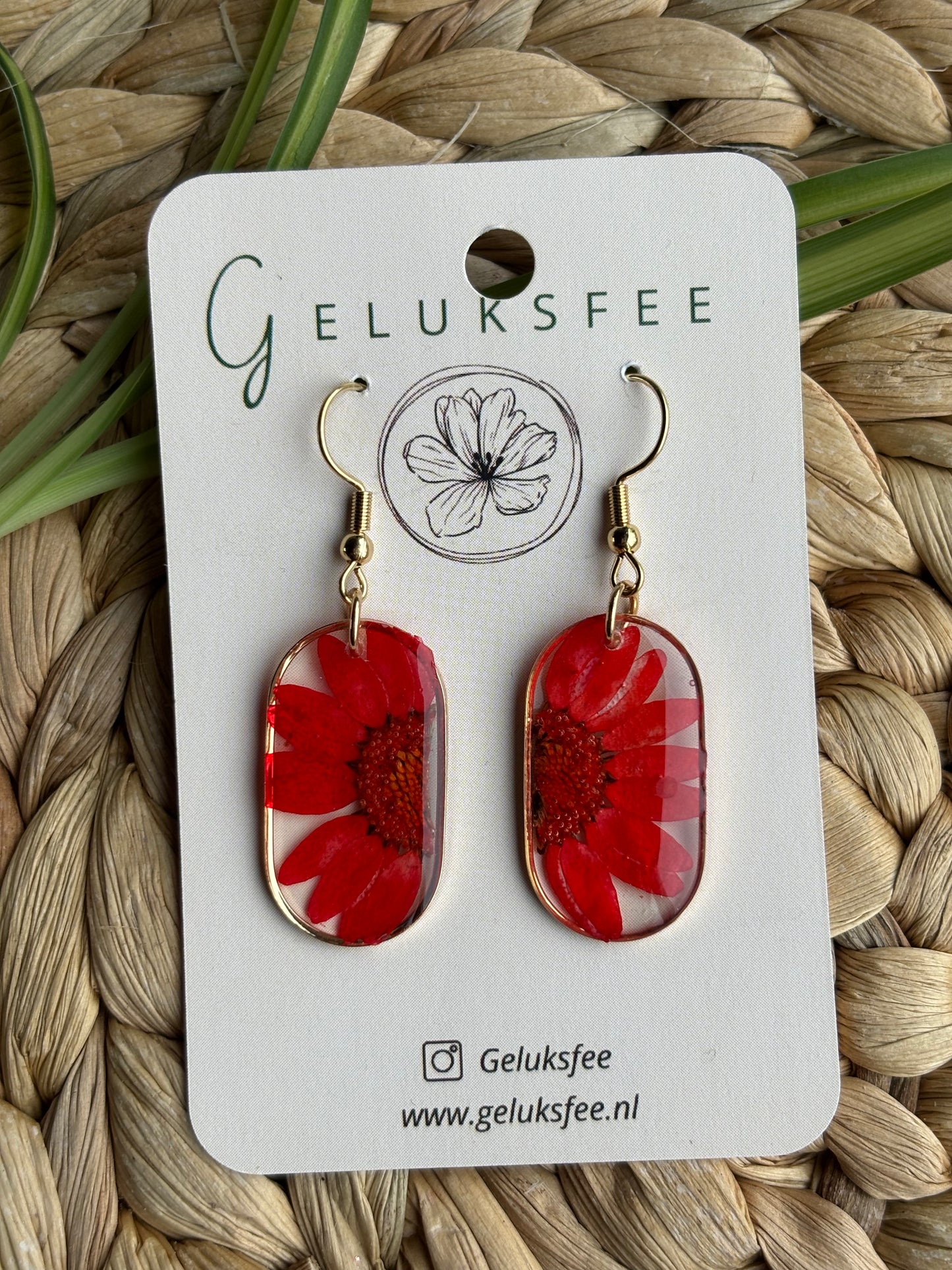 Halve margriet – ovaalvormige resin oorbellen met bloemdetail