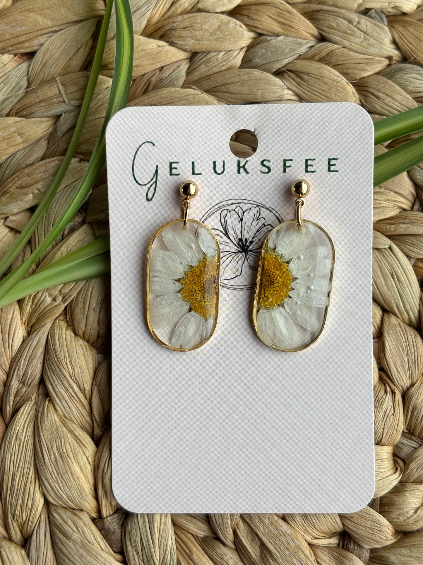 Halve margriet – ovaalvormige resin oorbellen met bloemdetail