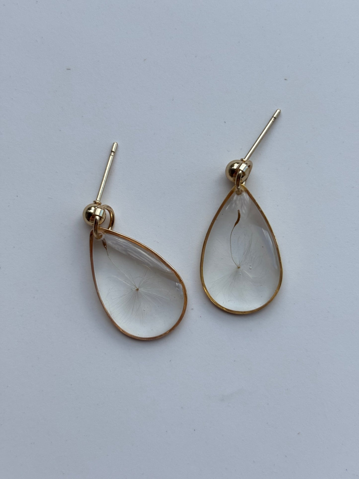 Herfstcollectie - gouden traandruppel oorbellen van echte paardenbloem pluisjes