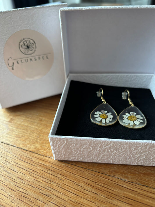 Cadeaubox