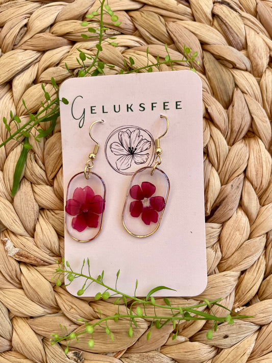 Goud ovale oorbellen met een echte verbena bloem