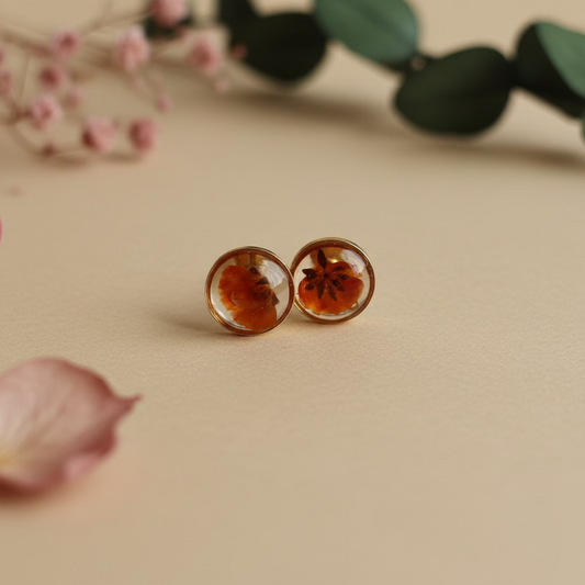 Oranjecollectie - knopjes