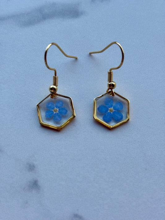 Mini hexagon oorbellen met echte vergeet-me-nietjes