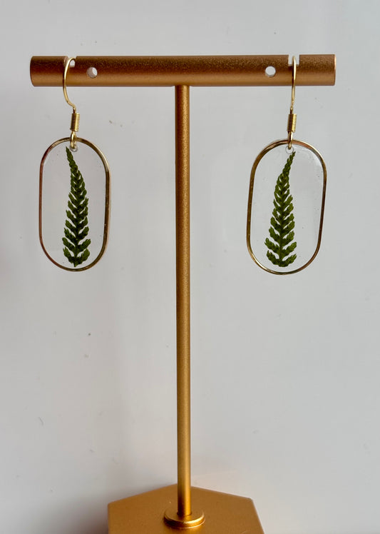 Oorbellen met Gedroogd Varenblad in UV Resin – 18K Goud Verguld | Handgemaakt & Hypoallergeen