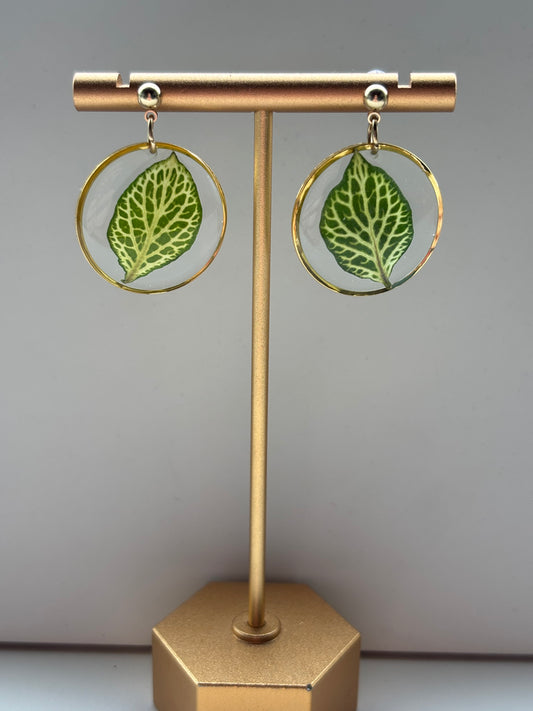 Fittonia Rond – Botanische Oorbellen