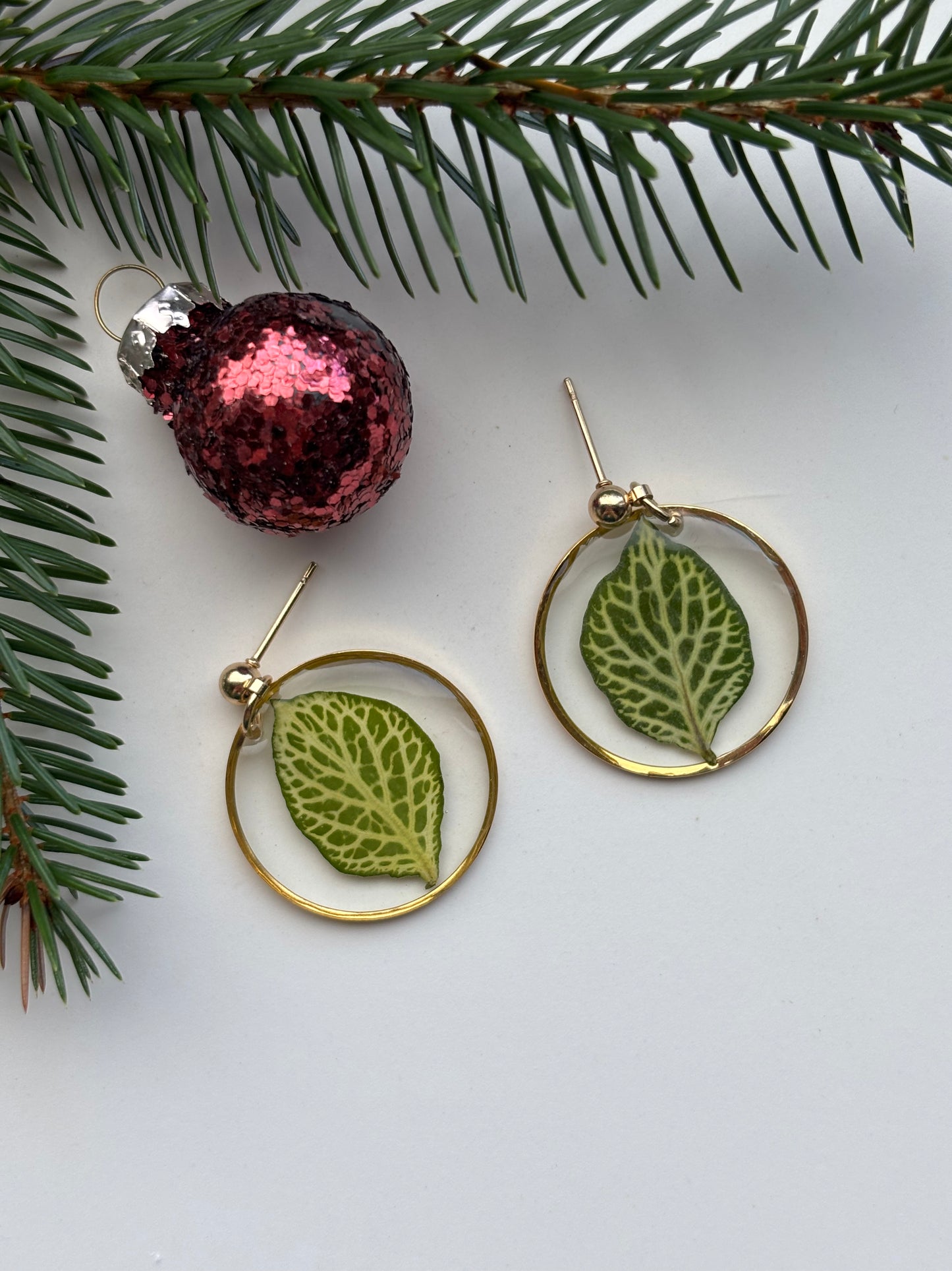 Fittonia Rond – Botanische Oorbellen