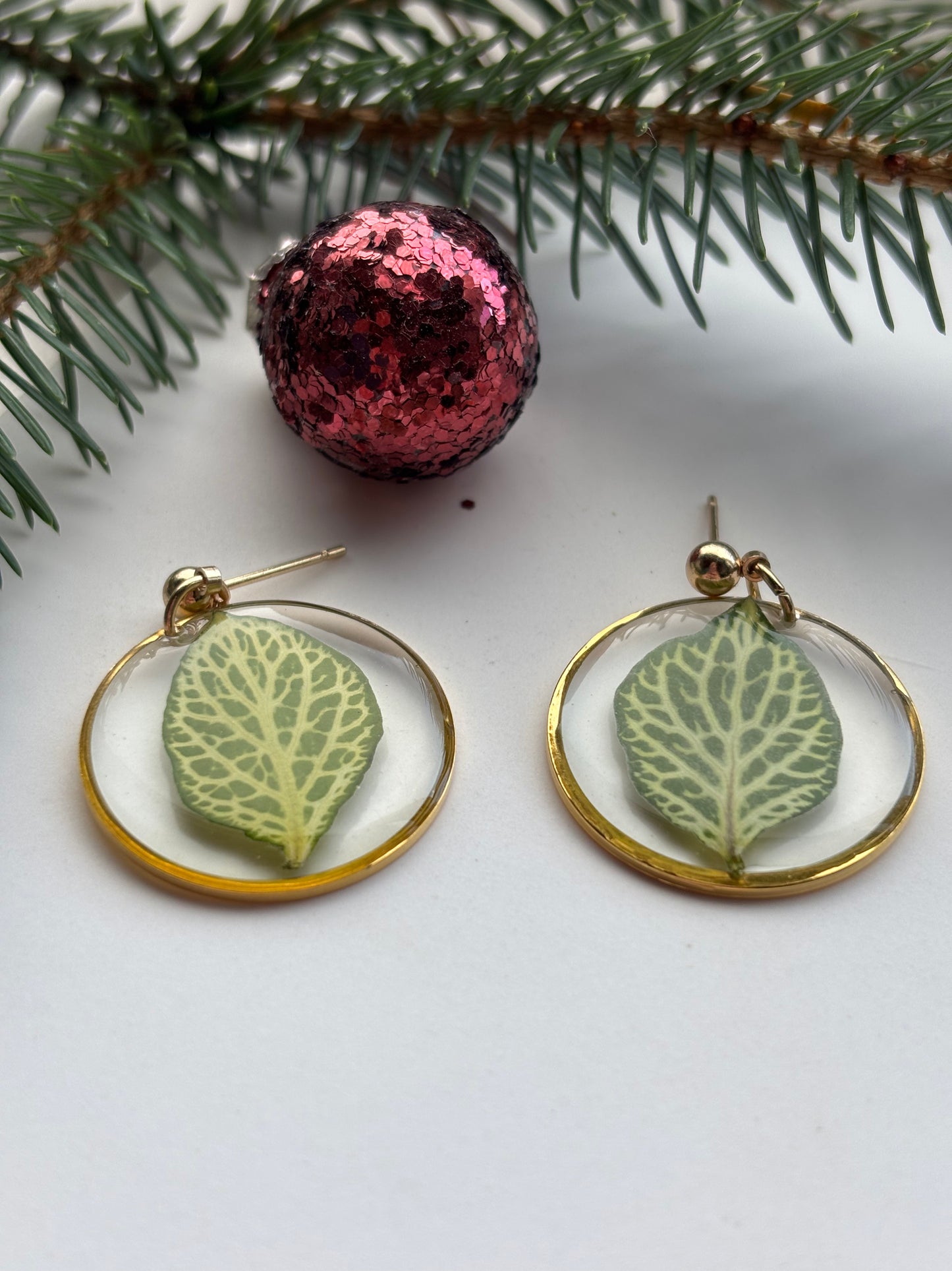 Fittonia Rond – Botanische Oorbellen