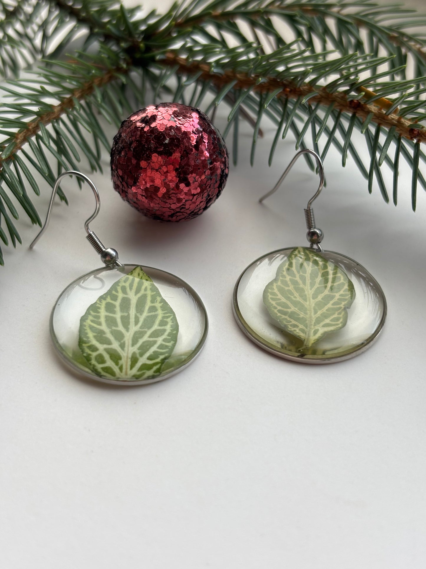 Fittonia Rond – Botanische Oorbellen - Zilveren variant